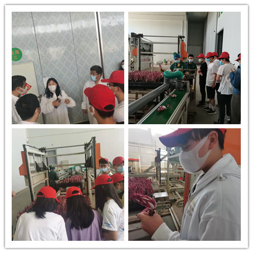 20210607162303304155406836.jpg 微信图片_20210607084801_副本1.jpg